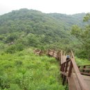 대방동 체육공원 이미지