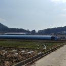 장덕고개 이미지