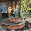 다람이마을 이미지