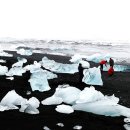 2026 달력 - 12개월 이미지 이미지