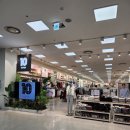 롯데마트 장유점 | 탑텐 2026 매장리얼후기 |세일은 계속.신상품 전시|탑텐 롯데마트 장유점