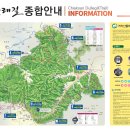 966 이미지