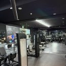 머슬핏피트니스 이미지