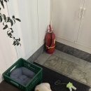 고양이 주택 이미지