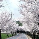 충훈2교 옆 이미지