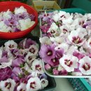 안산시 행복예절관 이미지