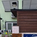 가고파식당민박 이미지