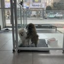 까꿍미용실 이미지
