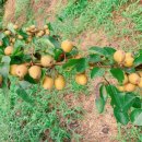 형국농장 이미지