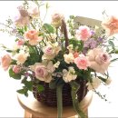 구산면610 이미지