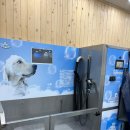 마이리틀프렌드 강남점 이미지