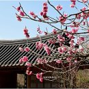 초의선사탄생지(1) 이미지