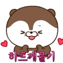 꽃향기가득한집 이미지