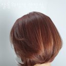 안산 고잔동 미용실 살롱의정석 안산점 업체 정보 후기
