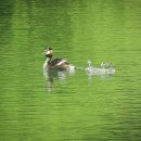 신대호수 이미지