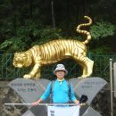 청운중학교 이미지