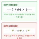 히스톤(HisTone) 이미지