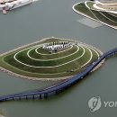봉화잔디 이미지