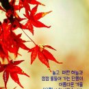 예향 이미지