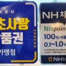 날아라홍돼지 이미지