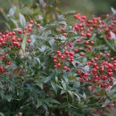 스테이남천 이미지