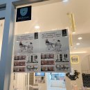 레푸스 성남모란점 이미지