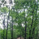 내곡동421 이미지