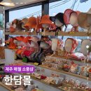 제주 애월 카페거리 소품샵 한담몰 감성 소품 쇼핑 후기