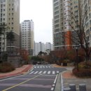 성복2로 이미지