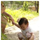 오르비스펜션 이미지