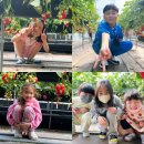 금곡태권도장 이미지