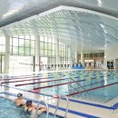 한국스포츠컨설팅 이미지