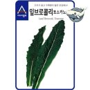 씨앗 - 남양주시 덕소로116번길 11 | 씨앗