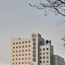 대림성모병원 이미지