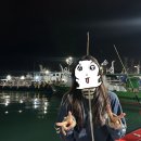 가람낚시 - 원주시 원문로 484 | 왕초보 인천 쭈꾸미낚시 후기 1편 낚시준비 - 해광유선 예약/가격/준비물/꿀팁