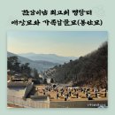 한낮의햇살 주식회사