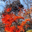 수락산 만남의광장 이미지