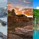 자연+인간+우연 이미지