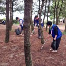 부산시 산악회 주관 국토(산사랑) 대청결운동 이미지