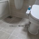 태생파크 | 대전 줄눈시공 호반 써밋 유성 그랜드파크 다이소 줄눈 보수제 가성비?