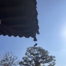 계림개발B/D 앞 | 경주 이스트 1779 커피숍 추천 내돈내산 솔직후기