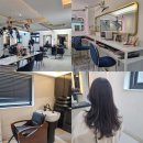하마헤어 | 신논현 미용실 엥비떼헤어 긴머리레이어드컷 후기
