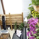 웰빙프라자 이미지