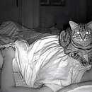 가위클럽 이미지