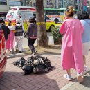 (주)나도주개 이미지