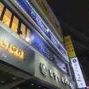 SUNNYNE | 홍대 애견카페, 강아지카페 써니네 : 모든 강아지들 총집합~!