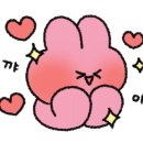네일해;연
