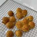 호두 펫푸드 이미지