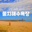 물치해수욕장 화장실 이미지