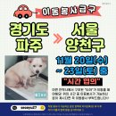 티아/11월20~23일 시간협의/경기파주＞서울양천 이미지